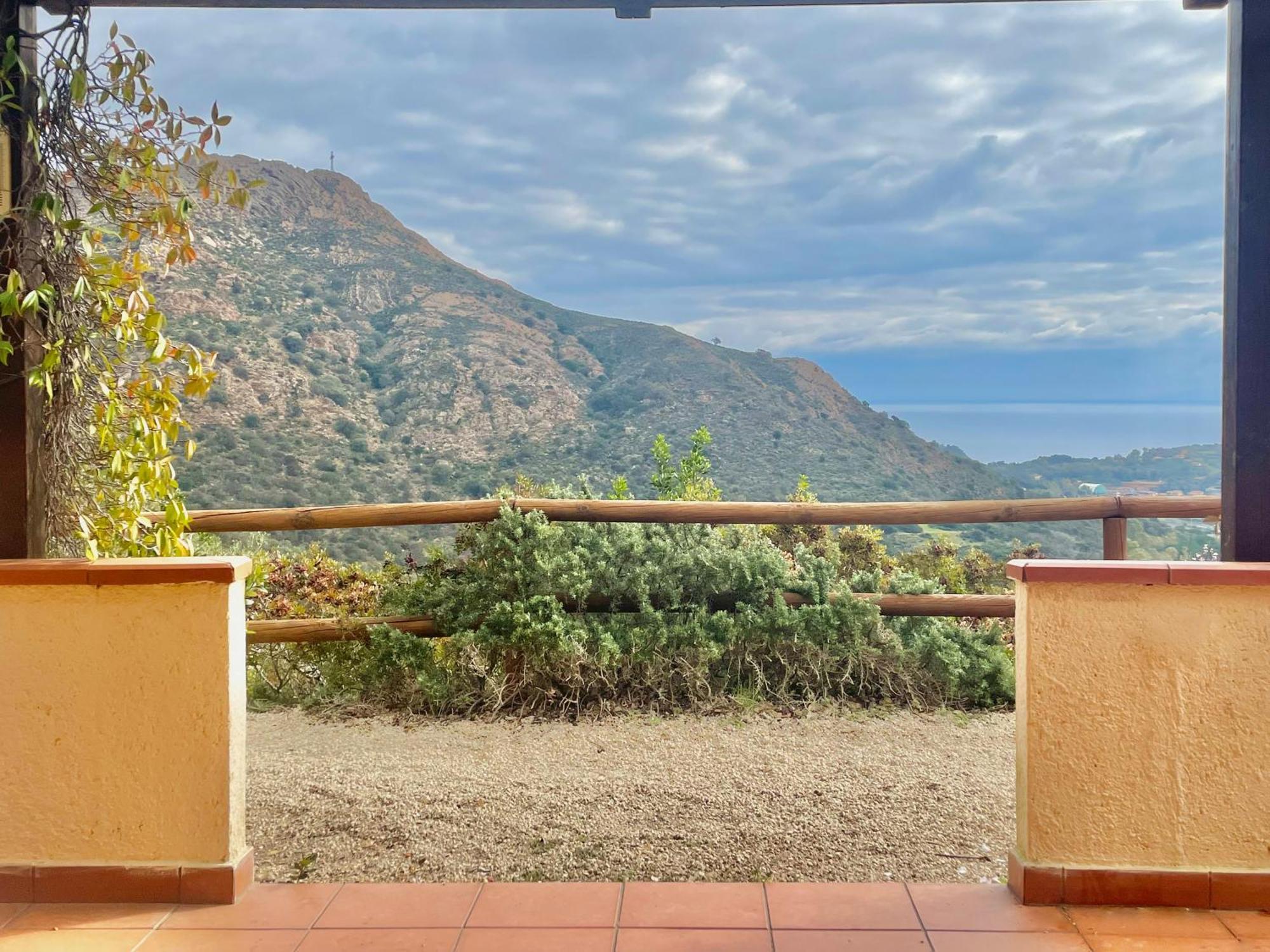 Aria Di Collina - Isola D'Elba Apartment Porto Azzurro Room photo